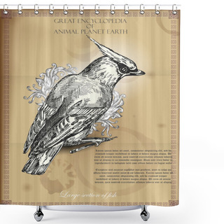 Personality  Bohemian Waxwing From Great Encyclopedia Of Animal Planet Earth. Retro Vector Illustration Shower Curtains