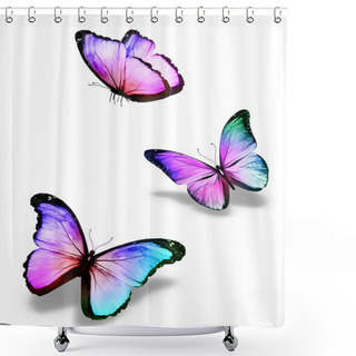 Personality  Three Color Butterflies, Isolated On White Shower Curtains