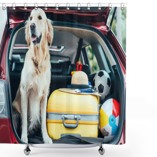 Personality  Close Up View Of Dog Sitting In Car Trunk With Wheeled Bag, Straw Hat And Balls For Travel  Shower Curtains