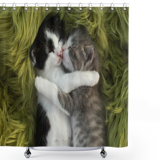 Personality  Kittens Outdoors In Natural Light Shower Curtains