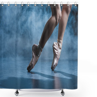 Personality  Ballerina Shower Curtains