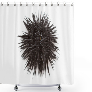 Personality  Sea Urchin Shower Curtains