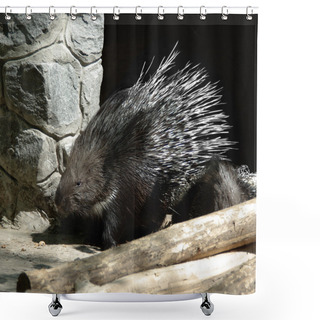 Personality  Porcupine Shower Curtains