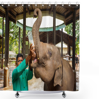 Personality  Man Feeding A Baby Elephant. Shower Curtains