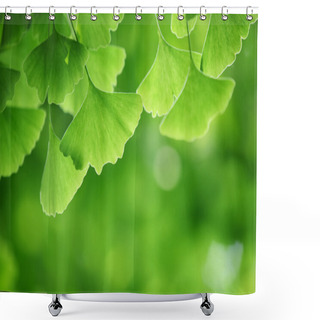 Personality  Ginkgo Biloba Leaves  Shower Curtains