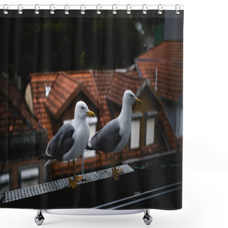 Personality  Seagulls Perched On The Balcony. Shower Curtains