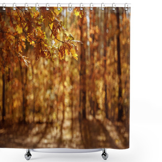 Personality  Selective Focus Of Trees With Yellow And Dry Leaves In Autumnal Park At Day  Shower Curtains