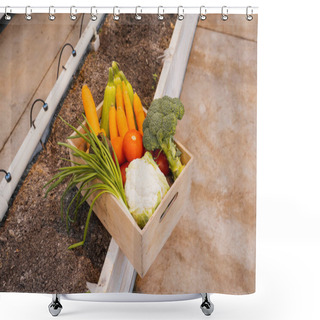 Personality  High Angle View Of Box With Fresh Vegetables On Ground In Greenhouse  Shower Curtains