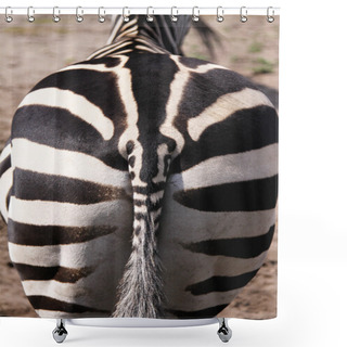 Personality  Zebra Shower Curtains