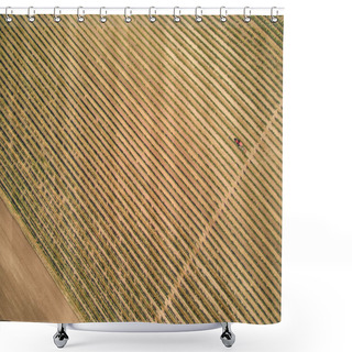 Personality  Rows Shower Curtains