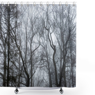 Personality  Snowy Winter Park In Mist Shower Curtains