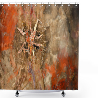 Personality  Petrified Tree Shower Curtains