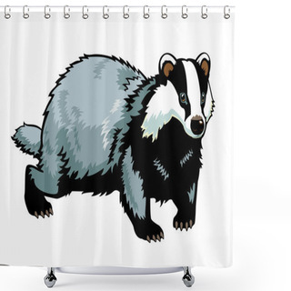 Personality  European Badger Isolated On White Shower Curtains