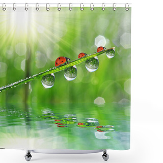 Personality  Dew Drops And Ladybirds Shower Curtains