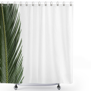 Personality  Top View Of Green Palm Leaf Isolated On White Shower Curtains
