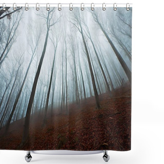 Personality  Autumn Forest Fog Shower Curtains