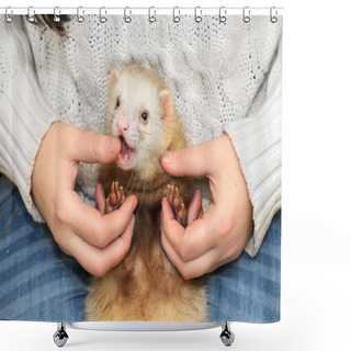 Personality  Ferret Bites The Mistress Shower Curtains