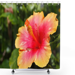 Personality  Hibiscus Flower Pollen. Shower Curtains