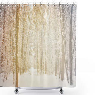 Personality  Toned Picture Of Beautiful Snowy Winter Forest Shower Curtains