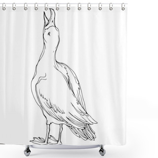 Personality  Vector Sky Bird Seagull In A Wildlife. Black And White Engraved Ink Art. Isolated Seagull Illustration Element. Shower Curtains