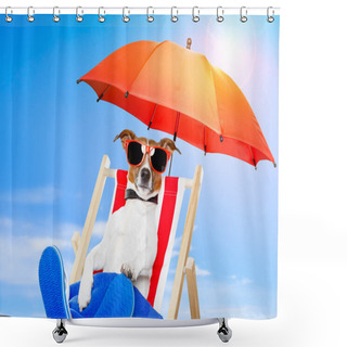 Personality  Dog On A Deck Chair Shower Curtains