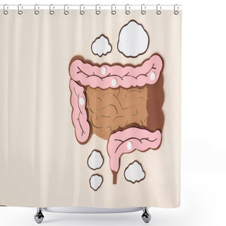 Personality  Elevated View Of Human Large Intestine With White Pills On Beige Shower Curtains