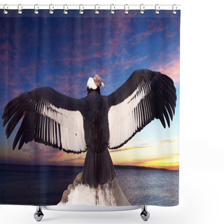 Personality  Andean Condor Shower Curtains