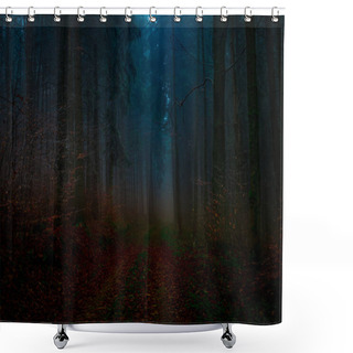 Personality  Mysterious Foggy Forest Covered With Rime In Late Autumn. Forest Road Covered With Colourful Leafs,fog,trees Covered With Rime, Gloomy Autumnal Landscape. Jeseniky Mountains, Eastern Europe, Moravia.  Shower Curtains