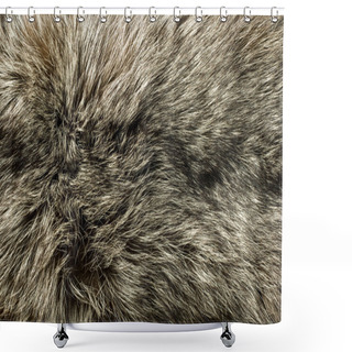 Personality  Closeup Of Beautiful Polar Fox Fur Shower Curtains