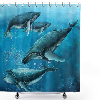 Personality  The Whales Shower Curtains