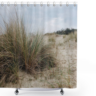 Personality  Close-up Shot Of Green Grass In Desert At Bray Dunes, France Shower Curtains
