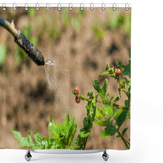 Personality  Spraying Insecticide On Colorado Potato Beetle Bugs Larvas Shower Curtains