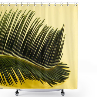 Personality  Green Palm Leaf On Yellow Background, Panoramic Shot Shower Curtains