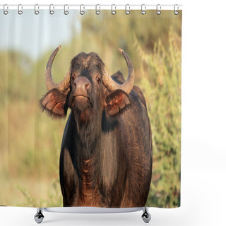 Personality  African Buffalo Portrait Shower Curtains