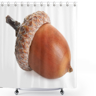 Personality  One Beautiful Brown Acorn Isolated On White Shower Curtains