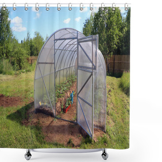 Personality  Hothouse Shower Curtains