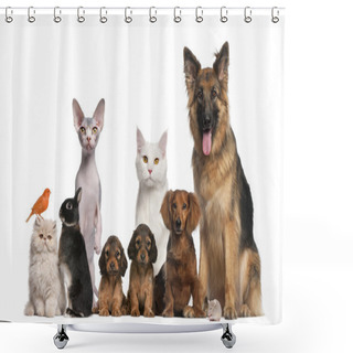 Personality  Group Of Pets: Dog, Cat, Bird, Rabbit Shower Curtains