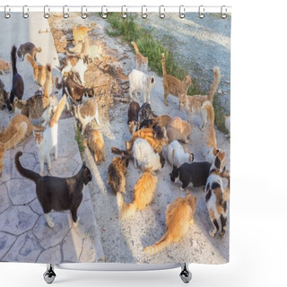 Personality  Brightlingsea Still Midwinter Sunset Shower Curtains