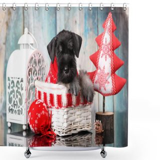 Personality  Miniature Schnauzer New Year's Puppy, Christmas Dog Shower Curtains