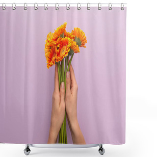 Personality  Cropped View Of Woman Holding Orange Gerbera Flowers On Violet Background Shower Curtains