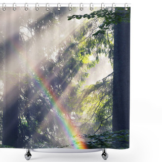Personality  Golden Rays Of Spruce Forest Shower Curtains