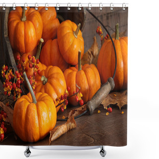 Personality  Small Pumpkins With Wood Bucket Shower Curtains