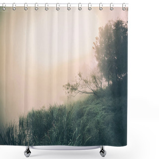 Personality  Green Trees And Bushes Near Lake At Misty Morning, Altai, Russia Shower Curtains