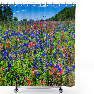 Personality  A Wide Angle View Of A Beautiful Field Of Texas Wildflowers. Shower Curtains