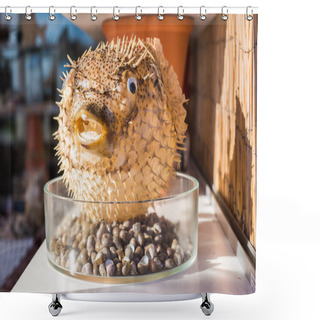 Personality  Blowfish Or Puffer Fish In Souvenir Shop. Porcupine Fish Shower Curtains