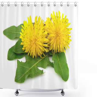 Personality  Dandelion Flowers With Leaves Shower Curtains