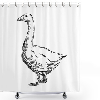 Personality  Vector Image Of A Goose. Agricultural Illustration. Domestic Bird. Shower Curtains