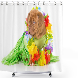 Personality  Hula Dog Shower Curtains