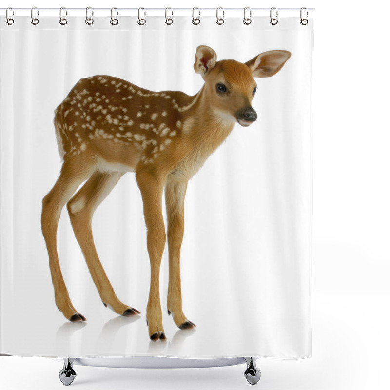 Personality  Fawn Shower Curtains