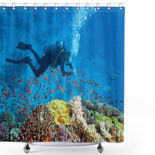 Personality  Diver On The Reef Shower Curtains